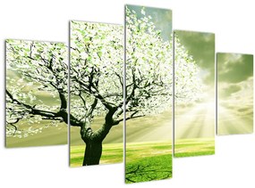 Tablou cu copaci pe luncă (150x105 cm)