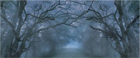 Tablou - Pădurea în ceață (120x50 cm)
