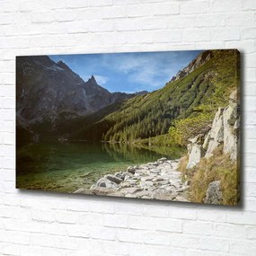Pictură pe pânză Marine ochi tatry