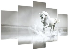 Tablou - Cal alb (150x105 cm)