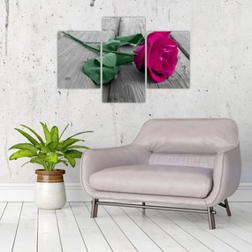 Tablou - Trandafir roz cu tulpina verde (90x60 cm)