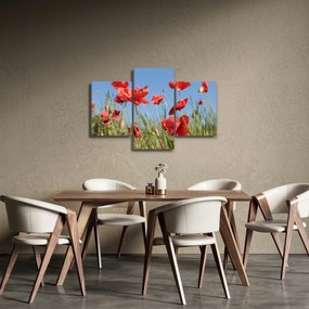 Tablou - Maci (90x60 cm)