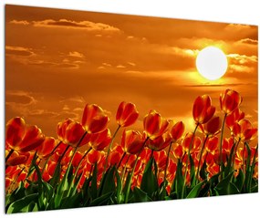Tablou - lan înflorit de lalele (90x60 cm)