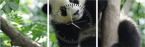 Tablou - Panda in copac (cu ceas) (90x30 cm)