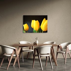 Tablou pe sticlă cu lalele (70x50 cm)