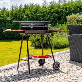Grătar cu cărbune dreptunghiular cu role MIR244