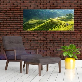 Tablou - Concert Terase de orez (120x50 cm)