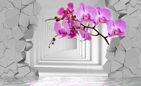 Tapet Premium Canvas - Abstract flori roz si tunel