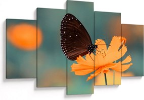 Tablou - fluture pe o floare portocalie (150x105 cm)