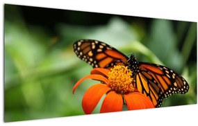 Tablou cu fluture pe floare (120x50 cm), în 40 de alte dimensiuni noi