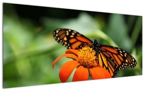 Tablou cu fluture pe floare (120x50 cm)