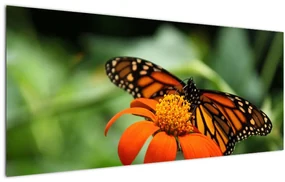 Tablou cu fluture pe floare (120x50 cm)