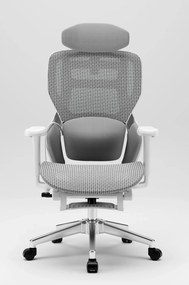 MONZA E16 Executive – Scaun Ergonomic Premium, Reglaje Avansate, Suport Lombar Reglabil pe Înălțime, Tetieră Reglabilă, Cotiere 3D, Șezut Extensibil, Reclinare 135°, Suport pentru Picioare și Bază Metalică, Mesh, Gri