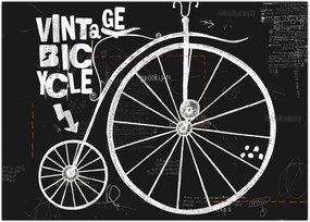 Tablou - Velociped (70x50 cm)