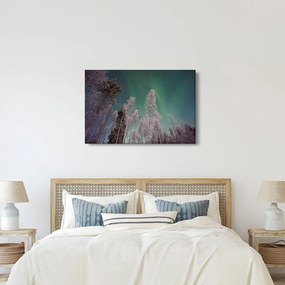 Tablou cu aurora borealis deasupra pomilor înghețați (90x60 cm)