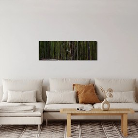 Tablou - Între bambus (cu ceas) (90x30 cm)