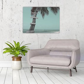 Tablou pe sticlă - Palma în Caraibe (70x50 cm)