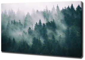 Tablouri tipărite pe pânză Ceață peste pădure