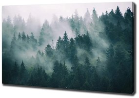 Tablouri tipărite pe pânză Ceață peste pădure
