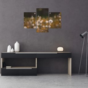 Tablou - Pajiște cu iarbă de cozonac N⁰2 (90x60 cm)