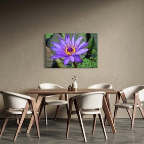Tablou - Floare violet (90x60 cm)