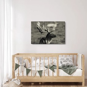 Tablou - Cerb (90x60 cm)