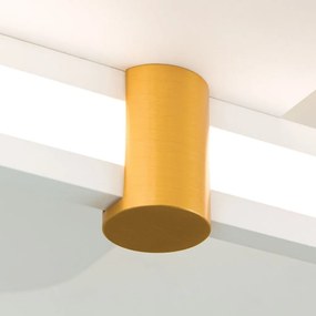 Plafoniera LED moderna GRACE alb/auriu