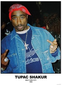 Poster Tupac Shakur - N.Y.C 1993, (59.4 x 84.1 cm)