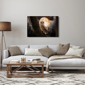Tablou cu bufnița (90x60 cm)