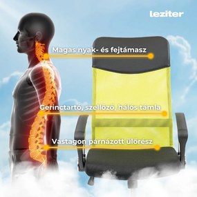 Scaun rotativ ergonomic de birou Fit, verde