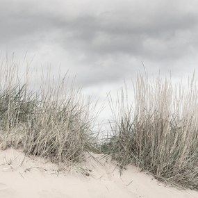Fototapet, Pale Shore, Rebel Walls