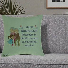Cadou pentru Bunici - Perna Personalizata Bunicii Iubirea Infloreste Bunici cu Nepoata Colorat, 40x40 cm, Verde, Husa Detasabila, Perna Inclusa, BEKZ®