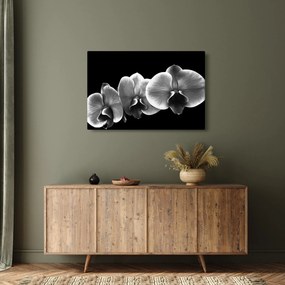 Tablou floare de orhidee (90x60 cm)