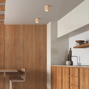 Spot EVE 1xGU10/10W/230V fag