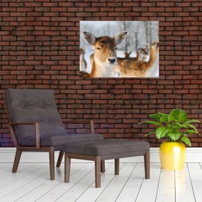 Tablou - Cerbi (70x50 cm)