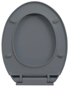 Capac WC cu inchidere silentioasa, gri, oval 1, Gri, nu
