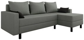 Colțar Delaware 100 Cutie de pat, 238x123x65cm, 94 kg, Picioare: Plastic