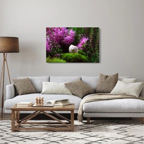 Tablou - Cochilie de melc (90x60 cm)