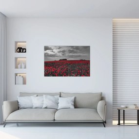 Tablou cu maci (90x60 cm)