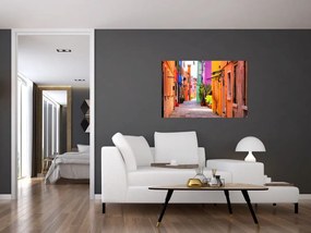 Tablou cu străduță colorata italiană (90x60 cm)