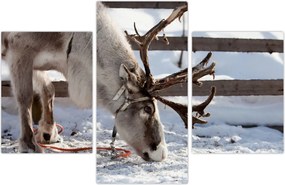 Tablou - Sâmbătă (90x60 cm)