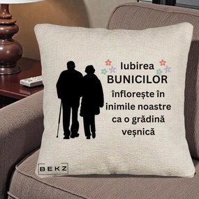 Cadou pentru Bunici - Perna Personalizata Bunicii Iubirea Infloreste Silueta Neagra Flori, 40x40 cm, Bej Canapea, Husa Detasabila, Perna Inclusa, BEKZ®