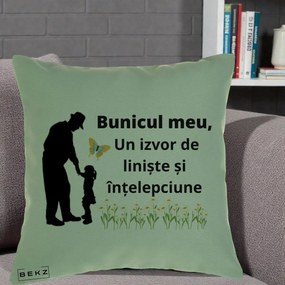Cadou pentru Bunic - Perna Personalizata Bunicul Meu Izvor de Liniste cu Fluture si Fetita, 40x40 cm, Verde, Husa Detasabila, Perna Inclusa, BEKZ®
