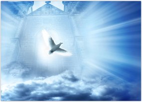 Tablou - Porumbelul lui Dumnezeu (70x50 cm)