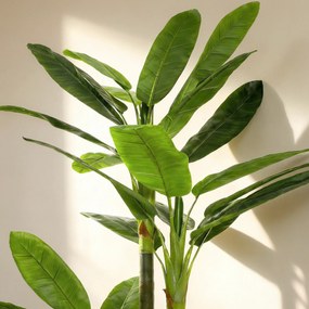 HOMCOM Arbore Artificial de Banan 180 cm cu Ghiveci, Plantă Falsă cu 18 Frunze pentru Decor Interior sau Birou, Verde | Aosom Romania