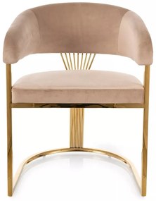 Scaun Crown velvet bej/auriu Blu28