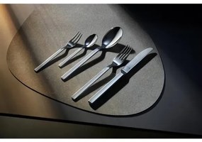 Set de tacâmuri WMF LYRIC PLUS, 66 piese