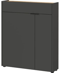 Dulap gri antracit 82x102x22 cm Ameca – Germania