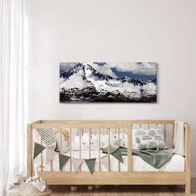 Tablou - Parcul Național Kenai Fjords (120x50 cm)