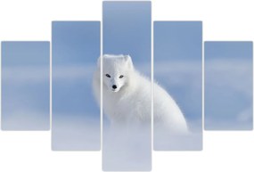 Tablou - Vulpe polară (150x105 cm)